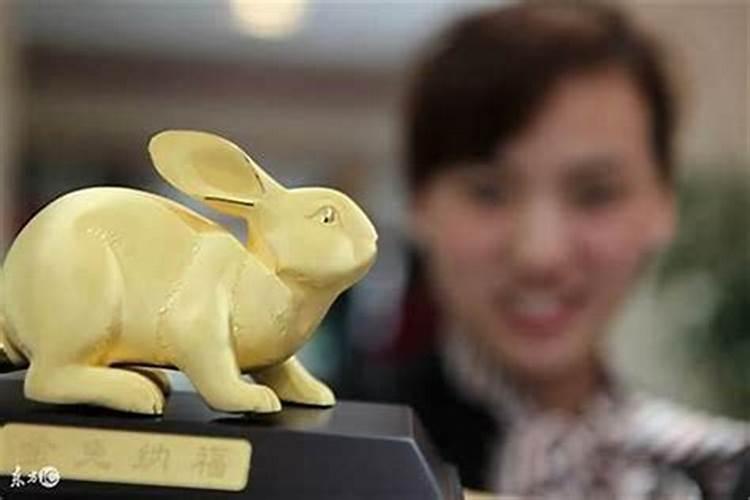 属兔在鼠年犯太岁吗？