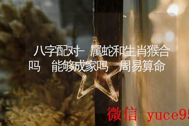 猴与蛇八字合吗？