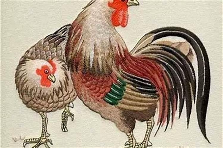 男方属猪女方属鸡合婚吗？