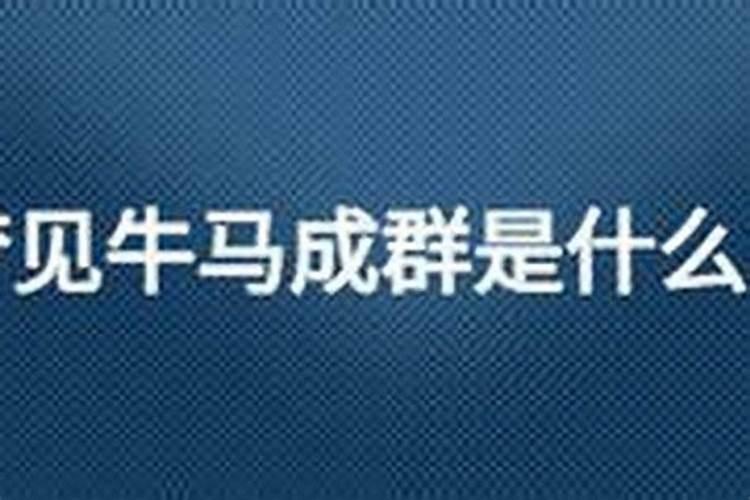 梦见牛马是什么意思？