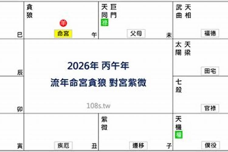 紫微14主星2026年运势