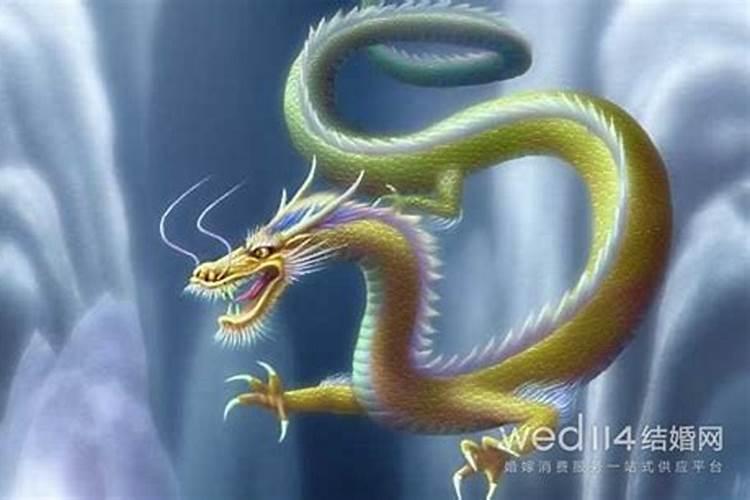 鼠鸡男和属龙女合婚吗？