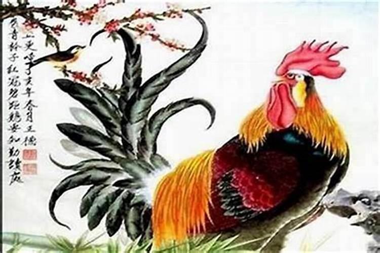 属鸡女属牛男合婚吗？