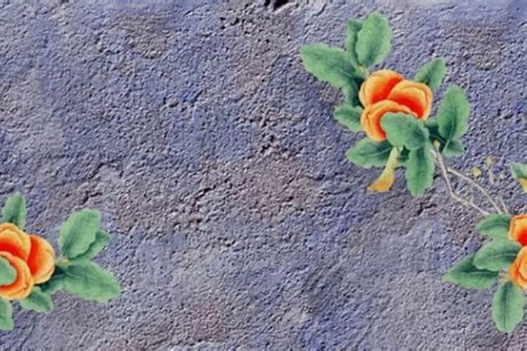 生肖羊八月十五出生的女孩