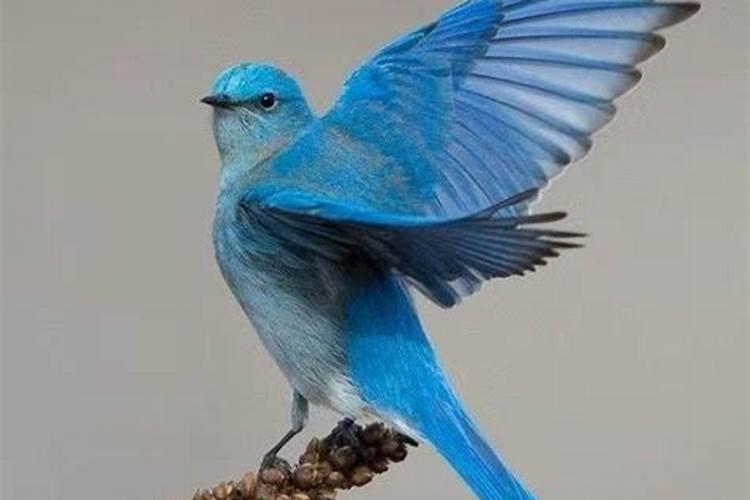 元宵节两个习俗