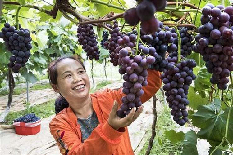 黔西金碧做法事