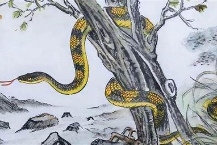 1965生肖蛇2026年运势大全