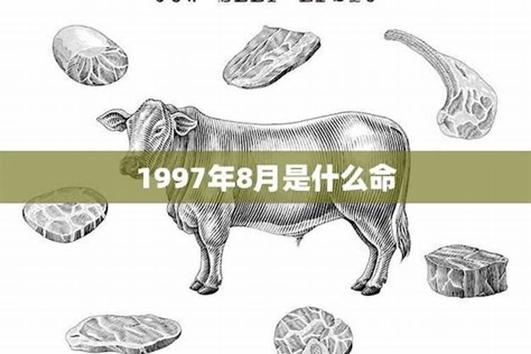 1997牛8月运势如何？