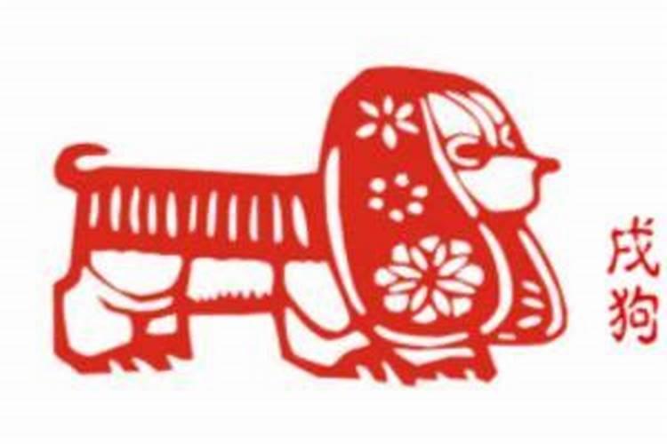 狗和兔子八字不合吗？