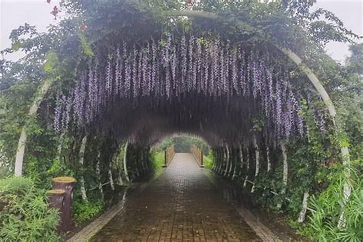 为什么算命忌讳算死人？