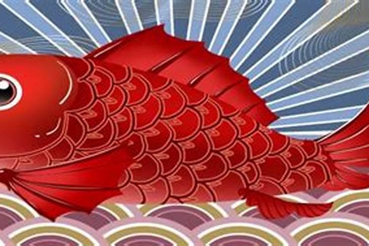 梦见红鲤鱼是什么意思？