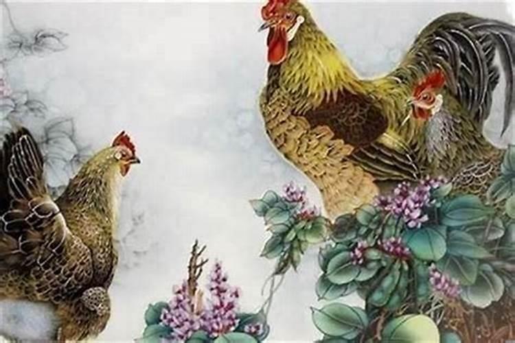 1969年属鸡的2026年的运势