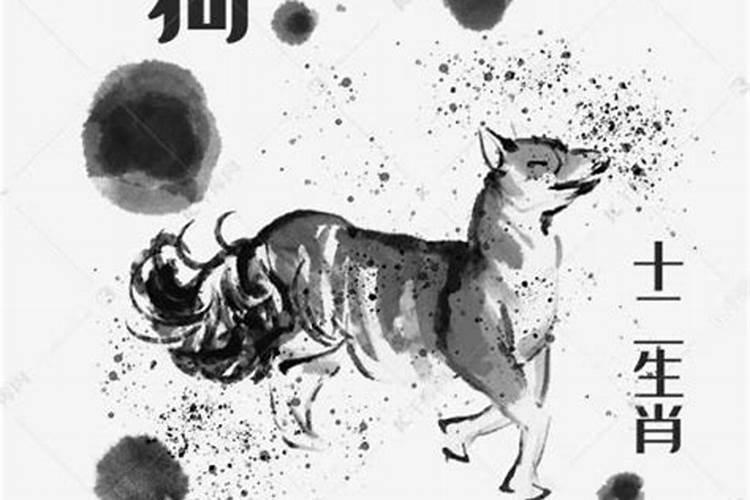 1970年狗男2026年运势如何？