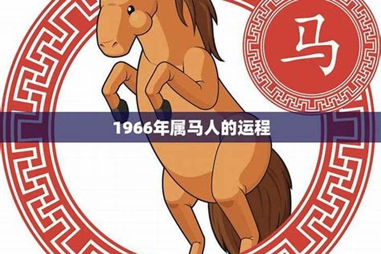 1966年属马在2026年的运程