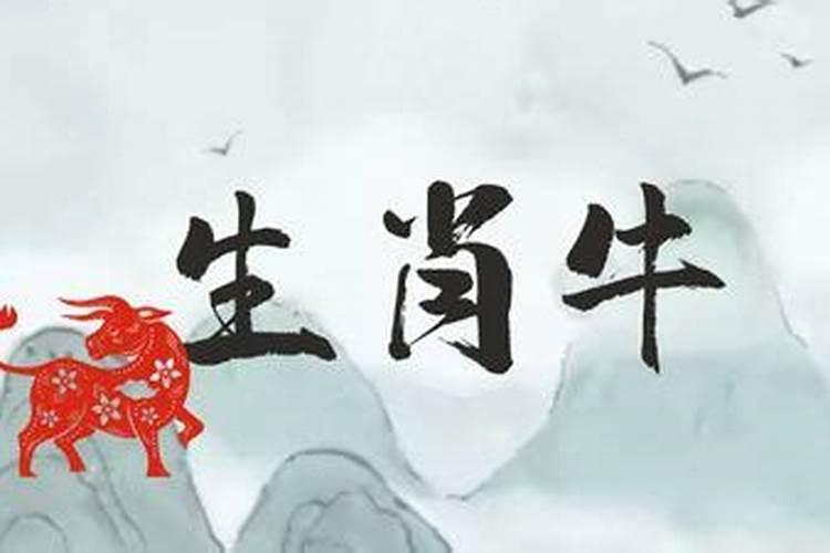 1973年属牛2026的运势如何？