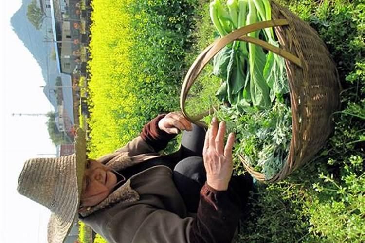 开化清明节风俗