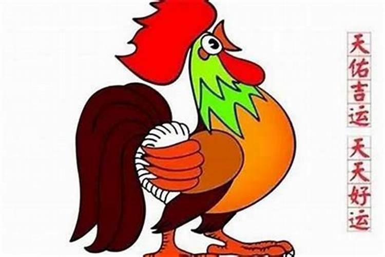 属鸡的阴历正月运势如何？
