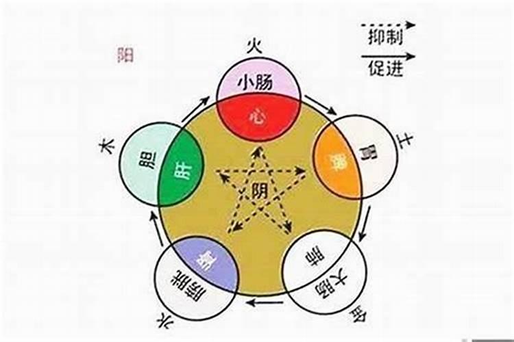 怎么判断自己八字属性？