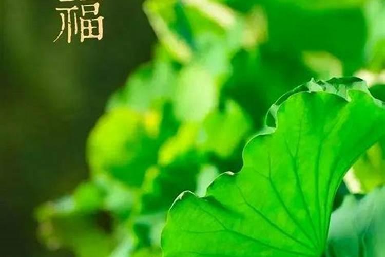 做法事损福报吗？