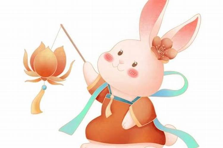 5月出生的属兔人运程