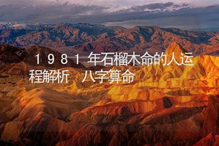 1981年木命2026年运程