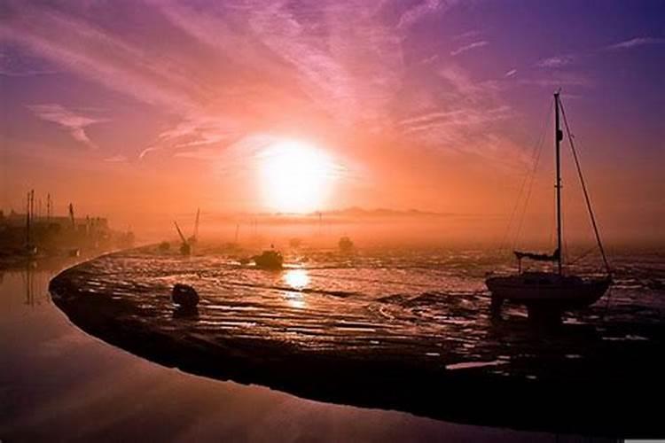 1965属什么生肖运势？