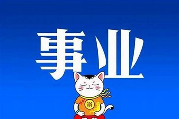 种花看事业运怎么样？