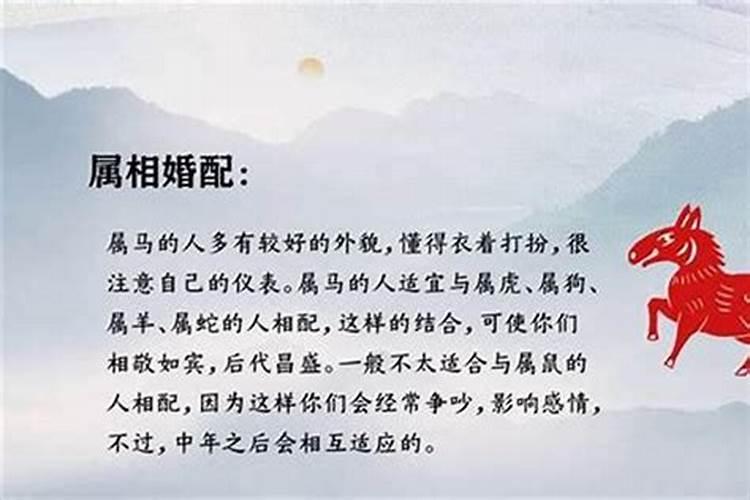 马与什么属相最能婚配？
