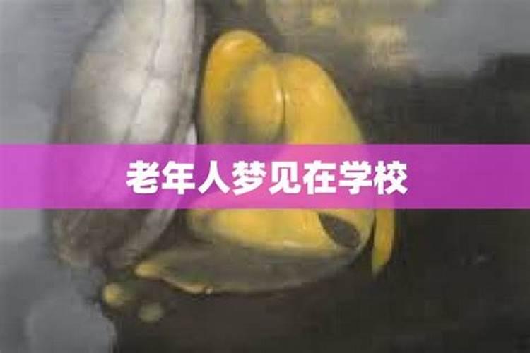 经常梦到自己在学校