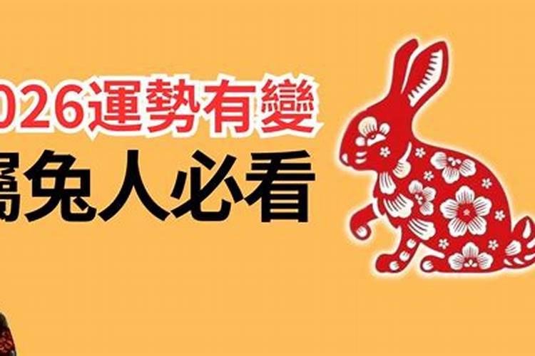 生肖兔2026年的运势