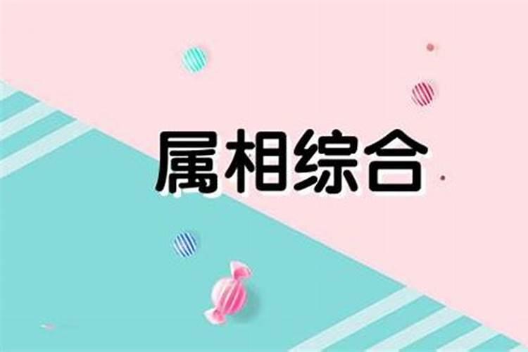 2026狗年十二月出生运势