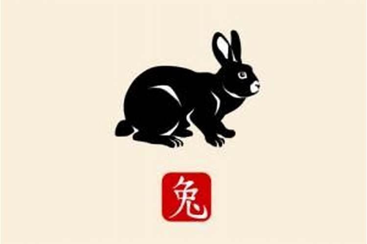 2026年的属兔43运程