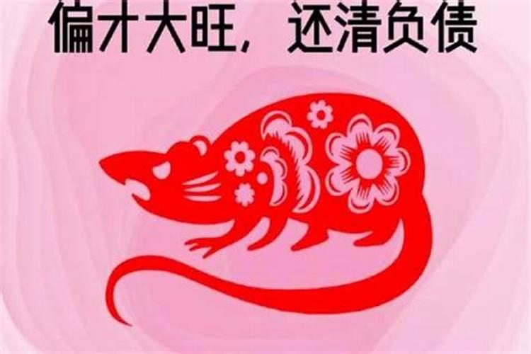 96年属鼠2026年运势如何？