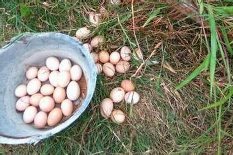 梦见捡鸡蛋好吗？