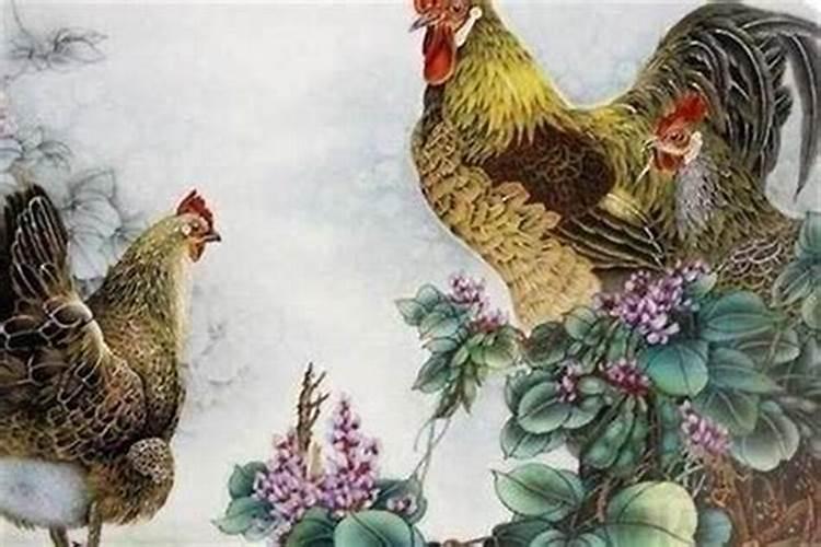 1993年11月的鸡一生运程