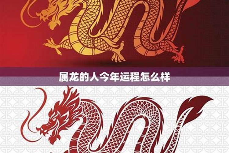龙年出世的人今年运势怎么样？