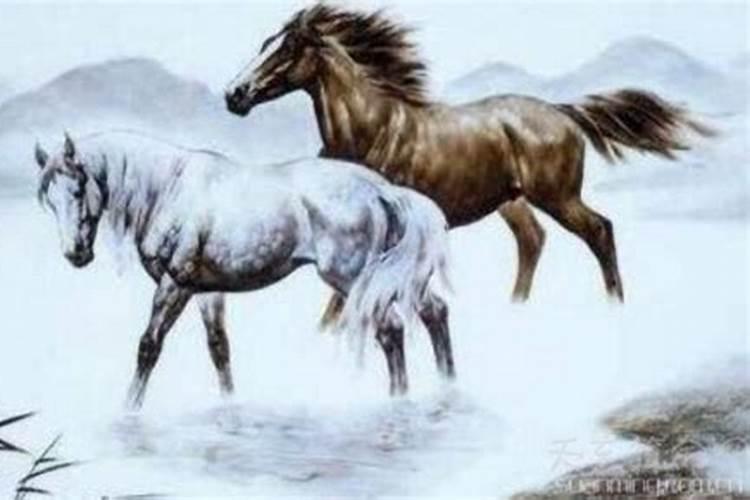 马和马属相婚配怎样？