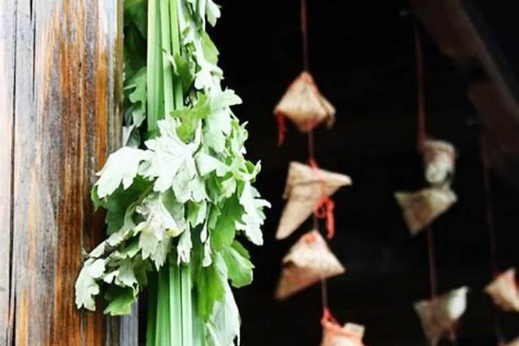 端午节的艾叶放到哪里最好？