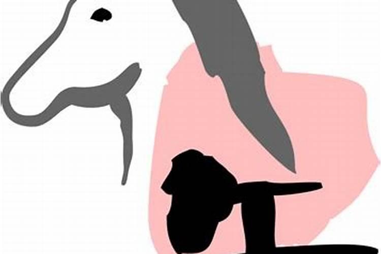 2026年78年出生马人运程