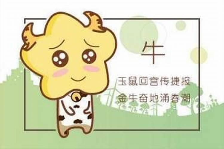 属牛本命年运气很差吗？