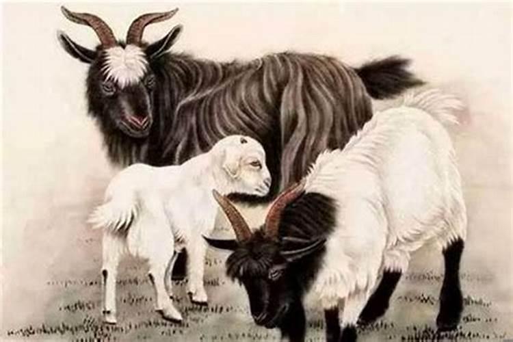 男鼠与女羊属相婚配好吗？