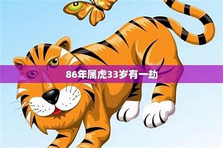 属虎本命年前一年不顺