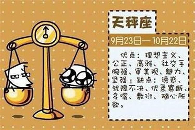 猫石对话2026年运程