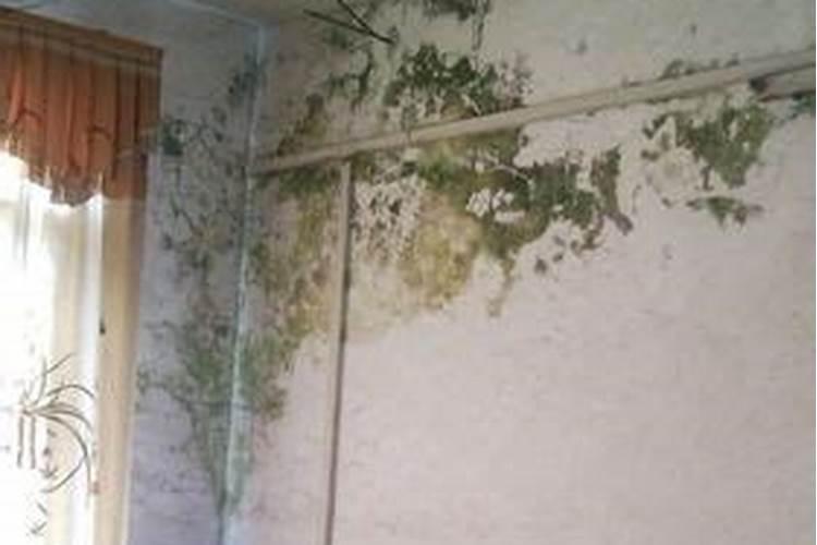 梦见老家房子下雨漏水是什么意思？