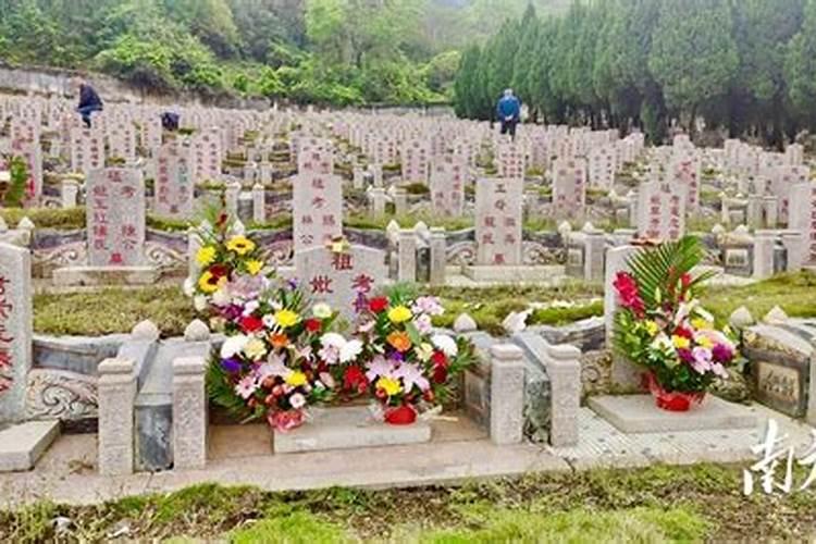 清明e祭扫