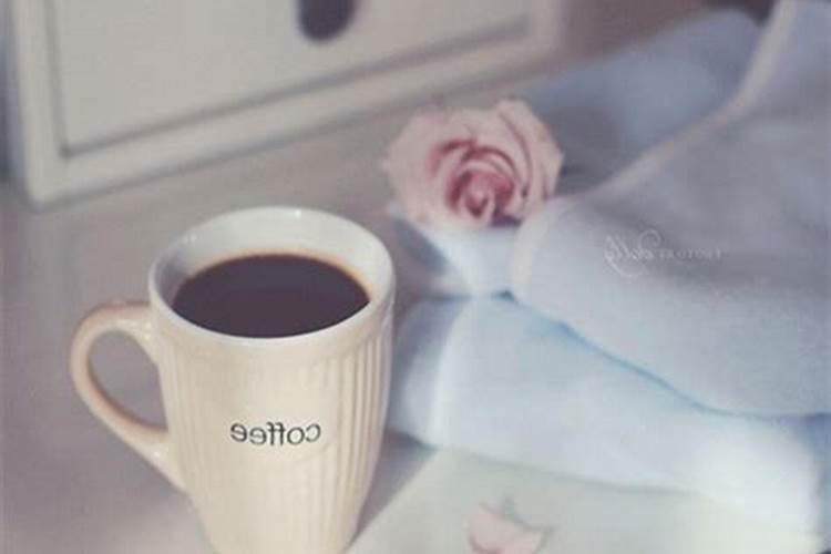 属兔的2026年运势苏民峰