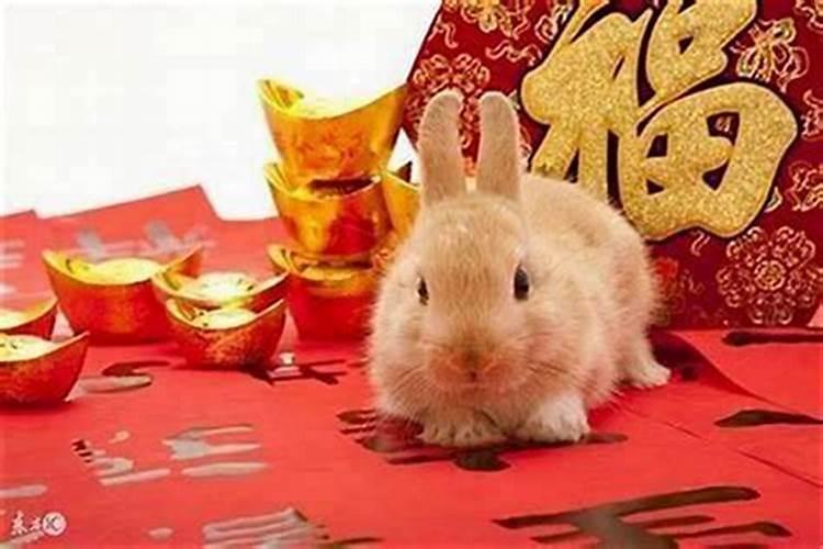 87年属兔的一生运势