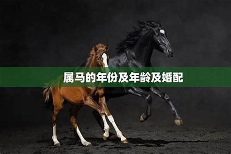 马与狗属相婚配怎样？