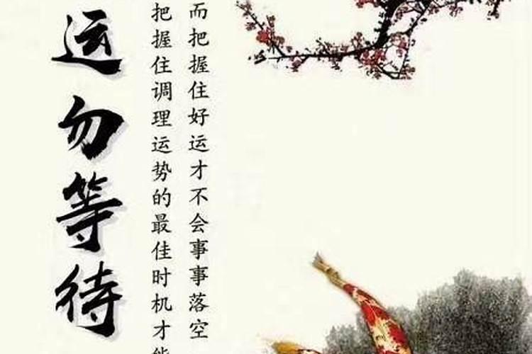 食神大运逢正财流年