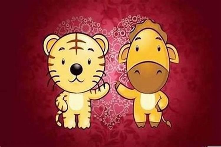 属马和属虎的八字合吗？